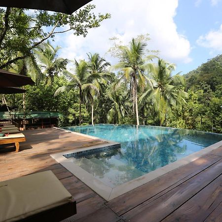 360 Rainforest Deniyaya Eksteriør bilde
