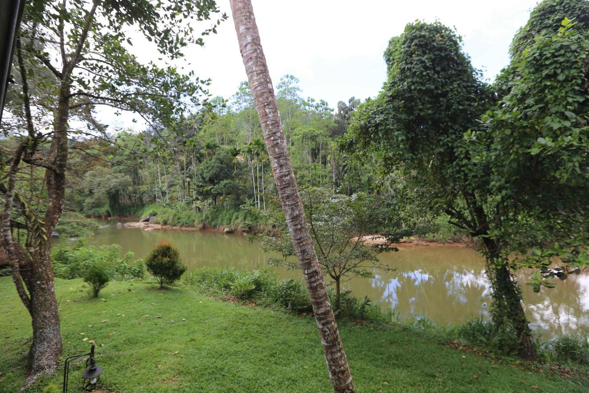 360 Rainforest Deniyaya Eksteriør bilde
