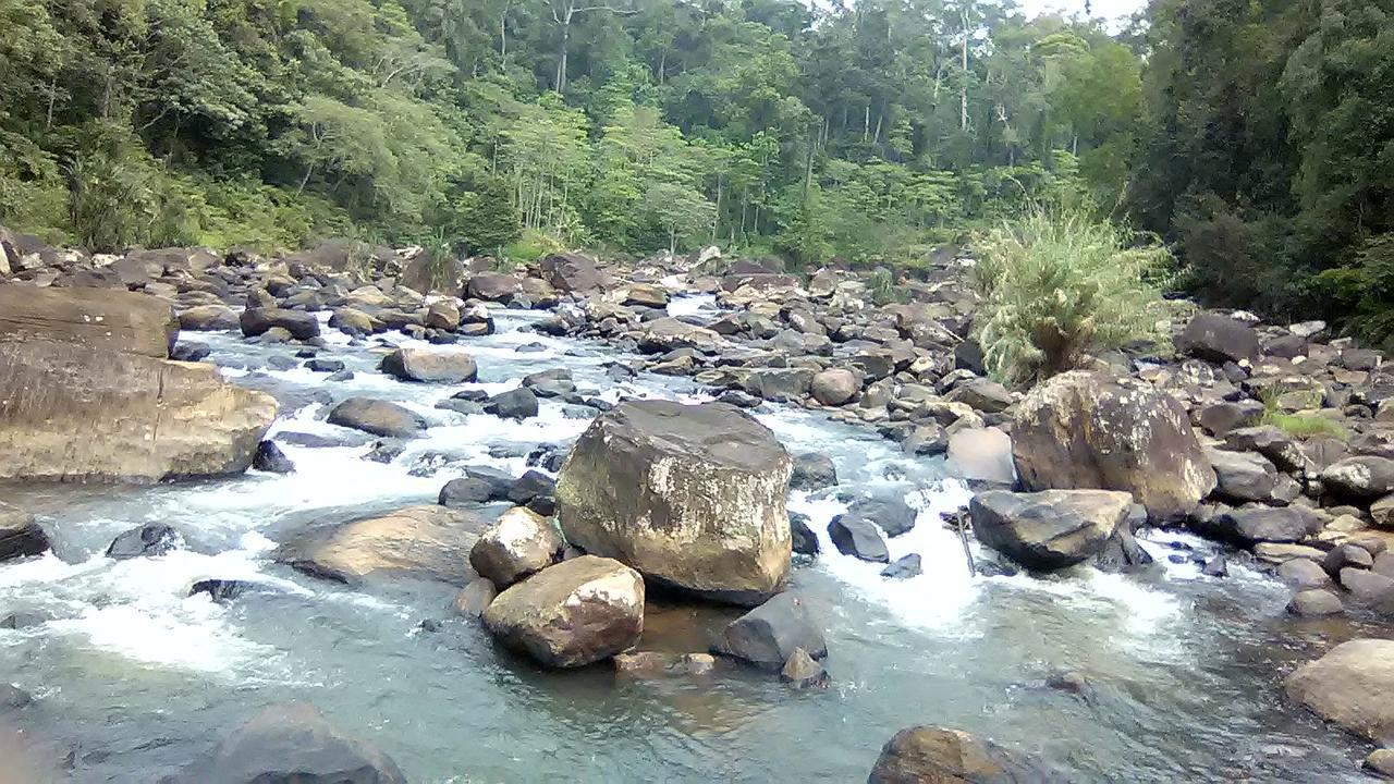 360 Rainforest Deniyaya Eksteriør bilde