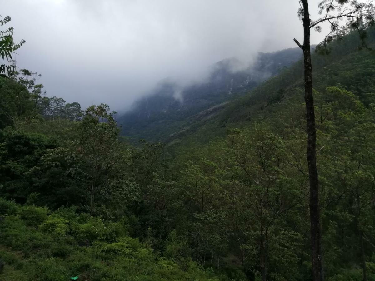 360 Rainforest Deniyaya Eksteriør bilde