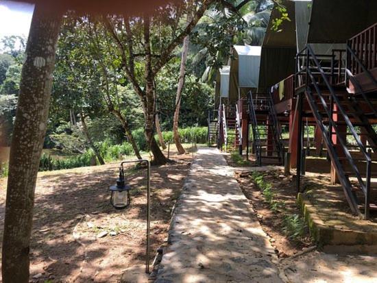 360 Rainforest Deniyaya Eksteriør bilde